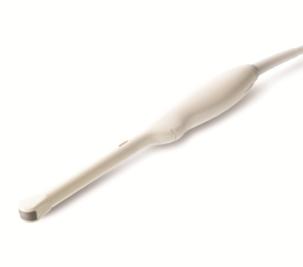 Endocavity probes
